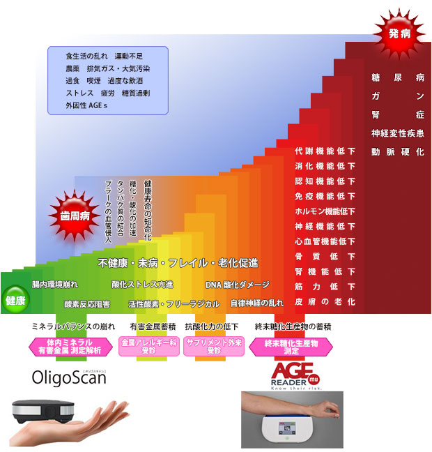 終末糖化産物が及ぼす影響